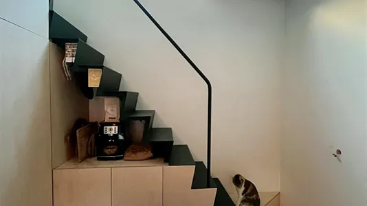 Houses in Leuven - photo 5