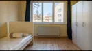Room for rent, Berlin Neukölln, Berlin, Braunlager Straße, Germany