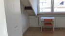 Room for rent, Maastricht, Limburg, Notenborg, The Netherlands