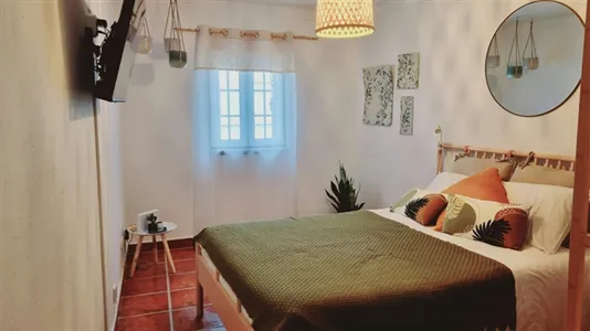 Apartments in Alter do Chão - photo 2