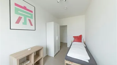 Room for rent in Berlin Treptow-Köpenick, Berlin