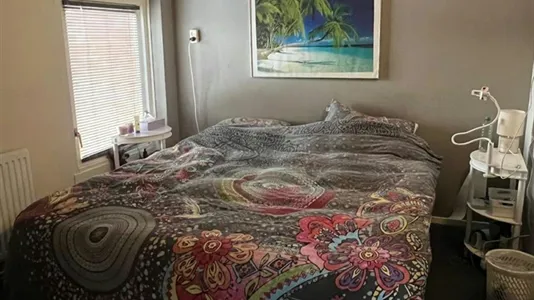 Houses in Groningen - photo 7