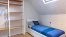 Room for rent, Brussels Ukkel, Brussels, Rue Alphonse Renard, Belgium