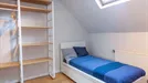 Room for rent, Brussels Ukkel, Brussels, Rue Alphonse Renard, Belgium