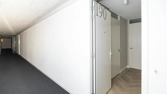 Apartments in Hoorn - photo 4