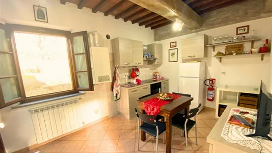 Houses in Montespertoli - photo 4
