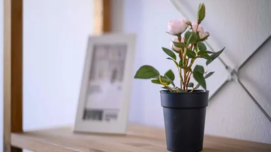 Rooms in Milano Zona 6 - Barona, Lorenteggio - photo 10