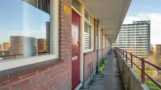 Rooms in Delft - photo 3