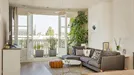 Apartment for rent, Amsterdam Oud-Zuid, Amsterdam, &lt;span class=&quot;blurred street&quot; onclick=&quot;ProcessAdRequest(13234813)&quot;&gt;&lt;span class=&quot;hint&quot;&gt;See streetname&lt;/span&gt;[xxxxxxxxxxxxx]&lt;/span&gt;