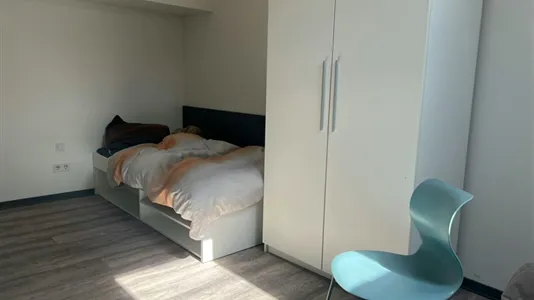 Apartments in Dresden - photo 9