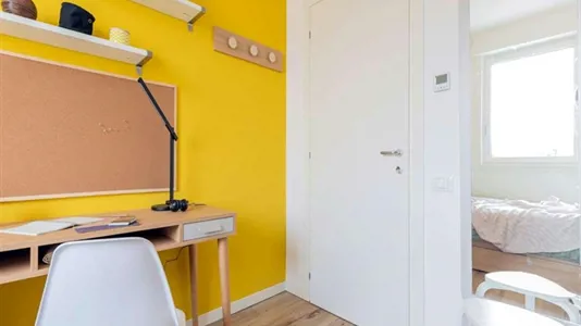 Rooms in Padua - photo 1
