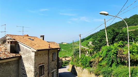 Apartments in Valdobbiadene - photo 7