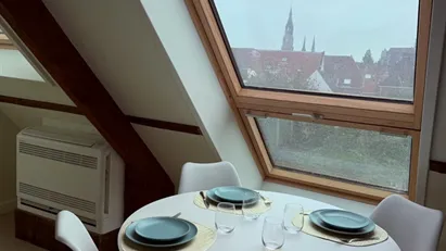 Apartment for rent in Delft, South Holland