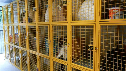 Apartments in Delft - photo 10