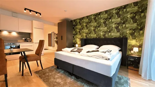 Apartments in Graz - photo 1