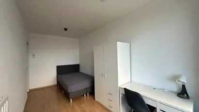 Room for rent in Leiden, South Holland
