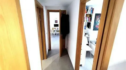 Apartments in Palma de Mallorca - photo 5