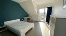 Room for rent, Brussels Sint-Lambrechts-Woluwe, Brussels, Tomberg, Belgium