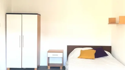 Room for rent in Rotterdam