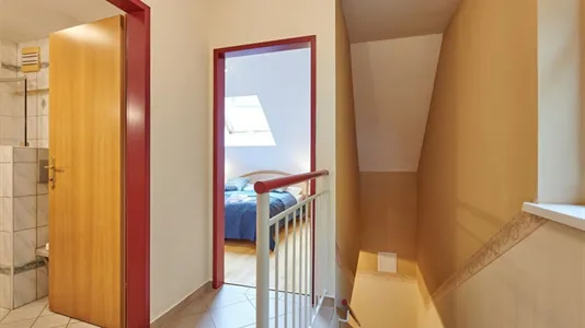 Houses in Frankenau-Unterpullendorf - photo 10