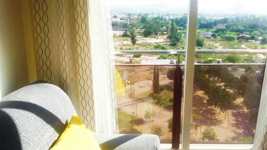 Apartments in Murcia - photo 9