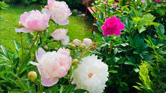 Apartments in Munich Ramersdorf-Perlach - photo 10