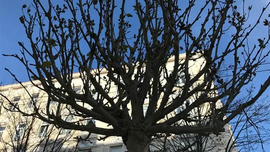 Apartments in Wien Rudolfsheim-Fünfhaus - photo 6