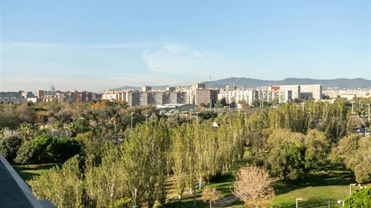 Apartments in Badalona - photo 7