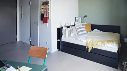 Apartment for rent in Frankfurt (region)