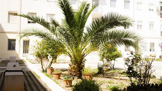 Rooms in Valencia Poblats Marítims - photo 10