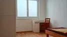 Room for rent, Wien Rudolfsheim-Fünfhaus, Vienna, Preysinggasse, Austria