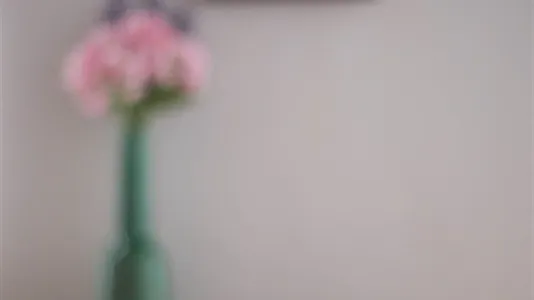 Apartments in Roma Municipio I – Centro Storico - photo 8