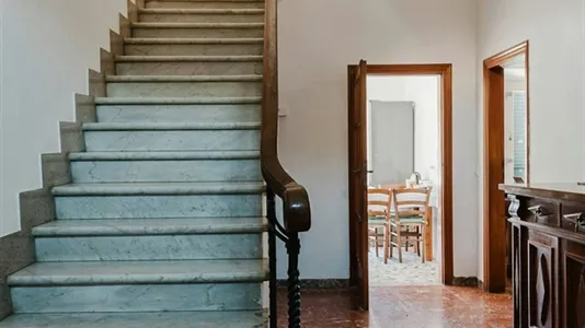 Rooms in Pisa - photo 8