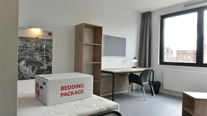 Room for rent in Delft, South Holland