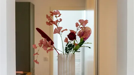 Apartments in Strasbourg - photo 4