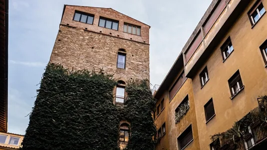 Apartments in Florence - photo 6