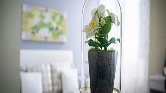 Rooms in Milano Zona 2 - Stazione Centrale, Gorla, Turro, Greco, Crescenzago - photo 4