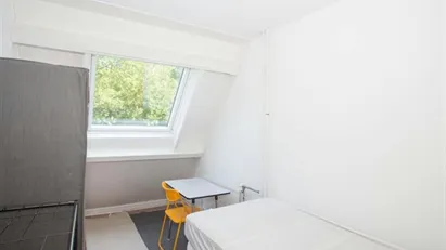 Room for rent in The Hague