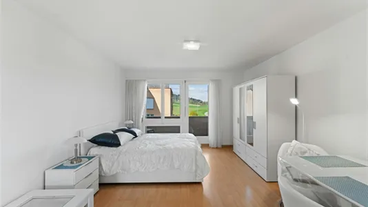 Apartments in Dielsdorf - photo 4