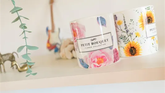 Apartments in Dijon - photo 4