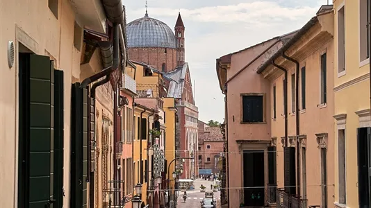 Houses in Padua - photo 10