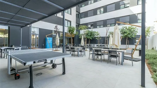 Apartments in Enramadilla - photo 9