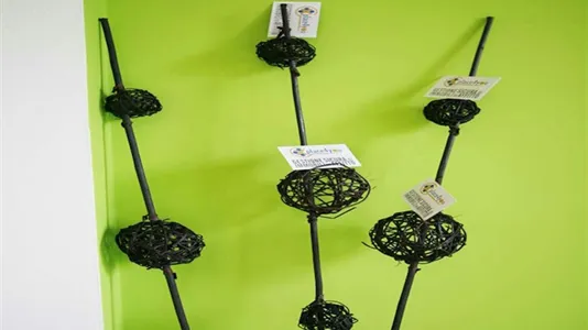 Rooms in Milano Zona 2 - Stazione Centrale, Gorla, Turro, Greco, Crescenzago - photo 2