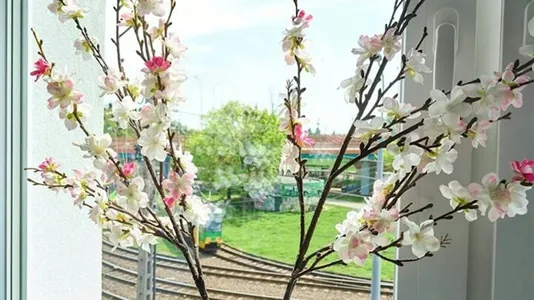 Apartments in Poznań - photo 7