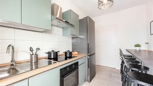 Rooms in Padua - photo 5