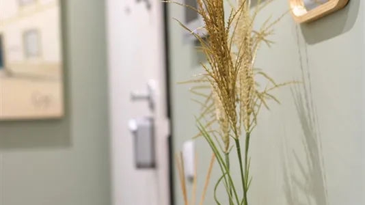 Apartments in Guimarães - photo 6