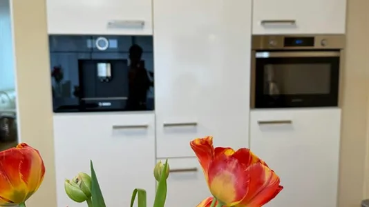 Houses in Best - photo 6