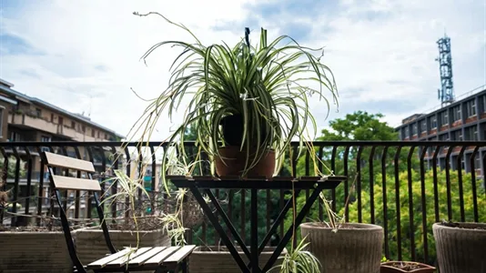 Rooms in Milano Zona 6 - Barona, Lorenteggio - photo 6