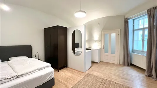 Apartments in Vienna Josefstadt - photo 7