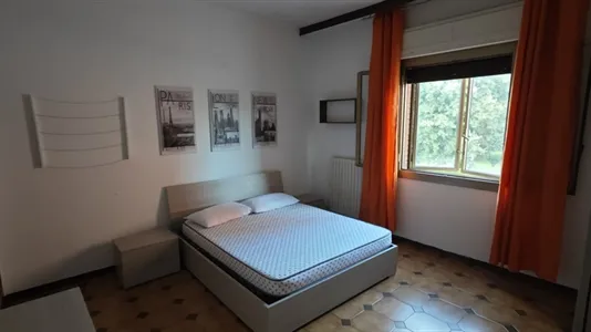 Rooms in Bologna - photo 2